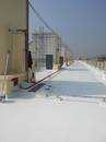 安南區安和路1段屋頂彈性防水材料施工後